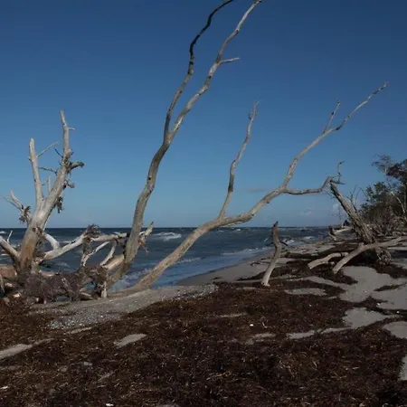 11 Im Haus Stranddistel, Modernes Im 1 Og Fur 2 Personen In *