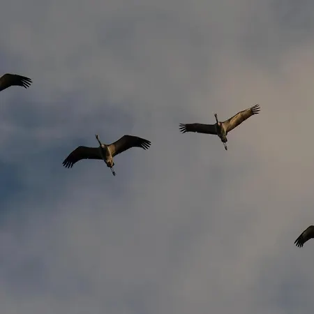 11 Im Haus Stranddistel, Modernes Im 1 Og Fur 2 Personen In