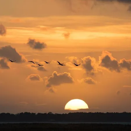11 Im Haus Stranddistel, Modernes Im 1 Og Fur 2 Personen In 公寓
