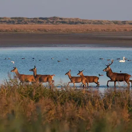 11 Im Haus Stranddistel, Modernes Im 1 Og Fur 2 Personen In