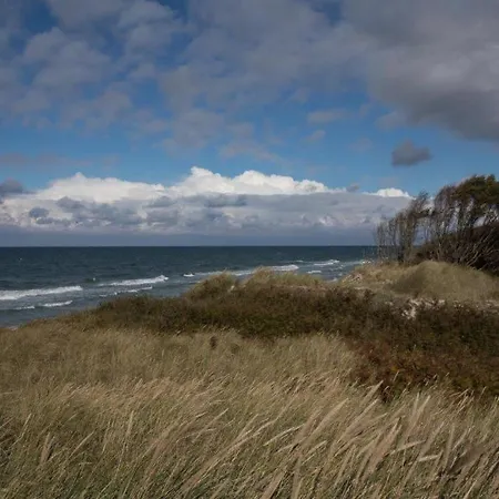 11 Im Haus Stranddistel, Modernes Im 1 Og Fur 2 Personen In 公寓 *